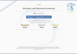cyber security bronze